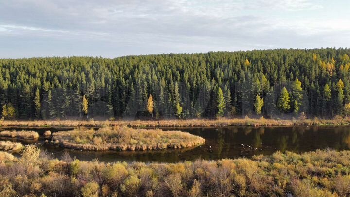 Участок 12,5 сот. (ИЖС)