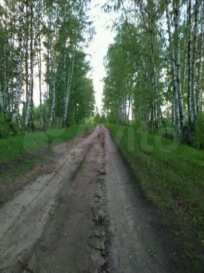 Участок 25 сот. (ИЖС)