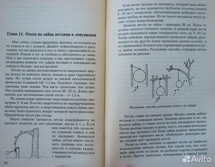 Сугробов В. Охота на зайца