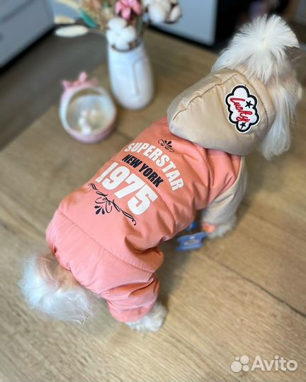 Комбинезоны для собак