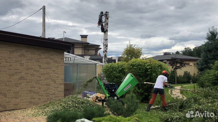 Измельчитель веток аренда / Дробилка веток