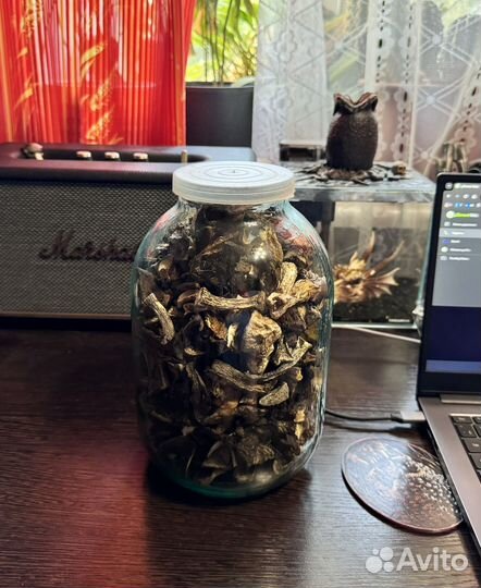 Сушеные грибы