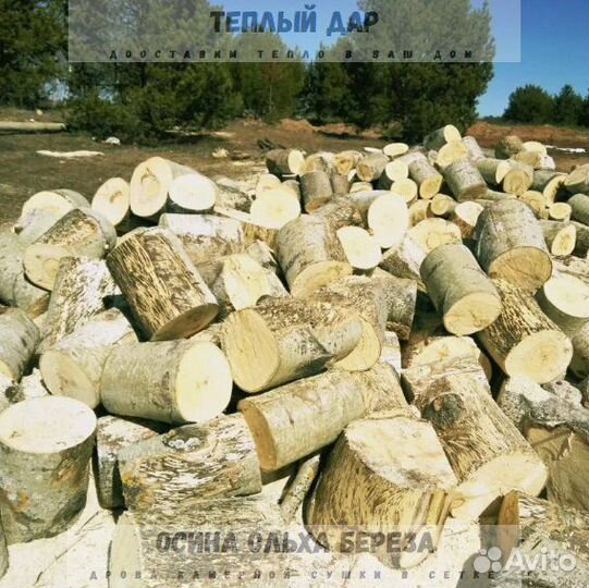 Дрова колотые