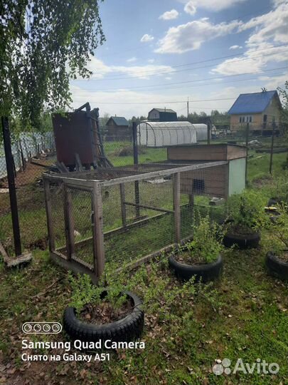 Курятник летний дачный