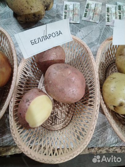 Продам картофель