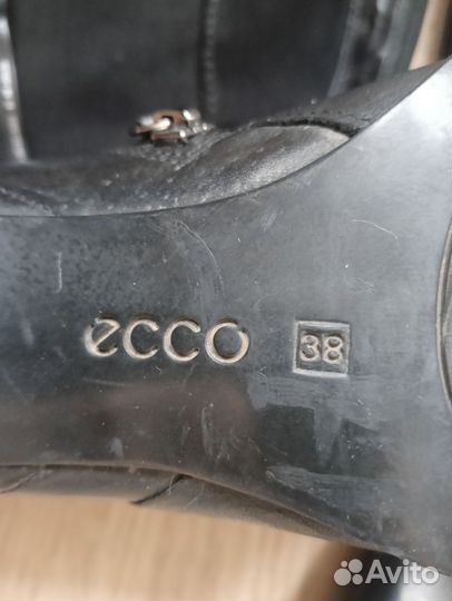 Сапоги жен., нат. кожа 38 р