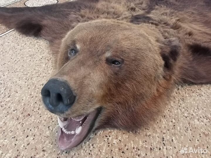 Шкура медведя имитация