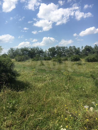 Участок 20 сот. (ИЖС)