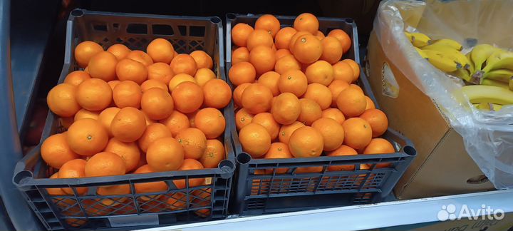 Выкладка товара магнит