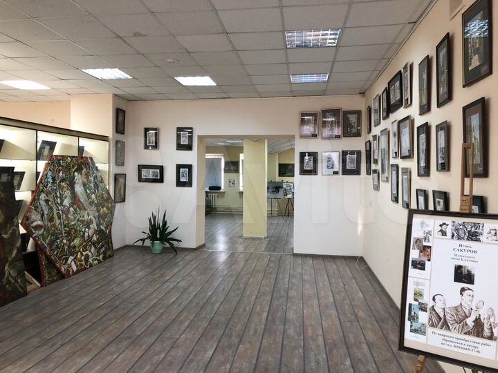 Торговое помещение, 234.1 м²