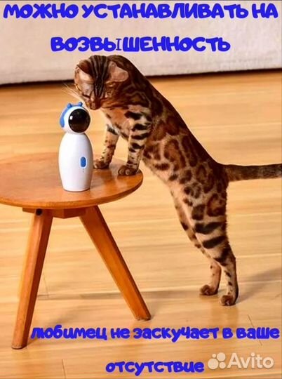 Интерактивная лазерная игрушка для животных