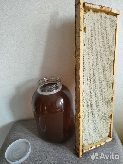 Мед,отличный,с доставкой,чувашский