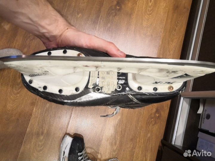 Коньки bauer nexus 1000