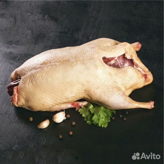 Тушки гуся очищенные