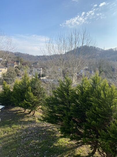 Коттедж 468 м² на участке 22 сот.