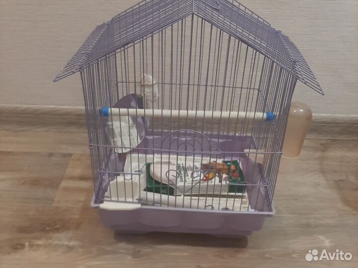 Клетка для волнистого попугая