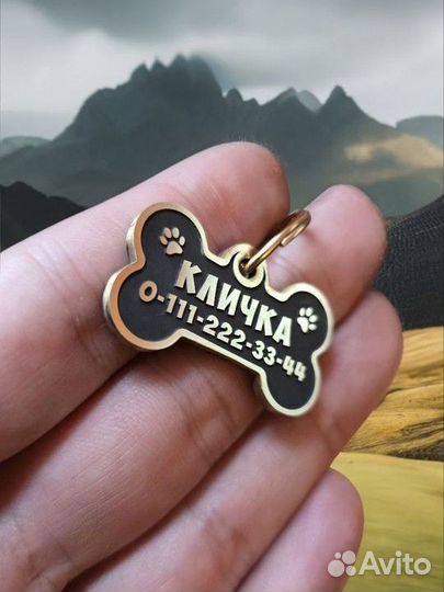 Адресник бирка для породы Джек Рассел