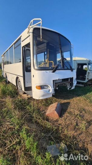 Паз 4230 аврора