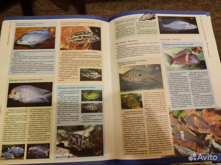 Большая энциклопедия о рыбах