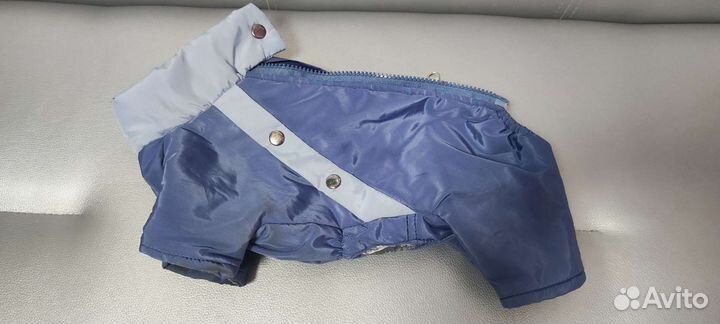 Одежда для маленьких собак