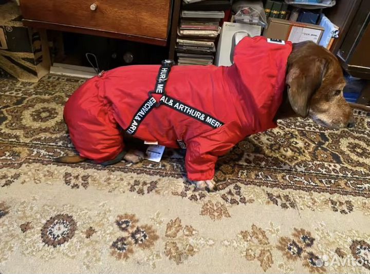 Комбинезон для собаки