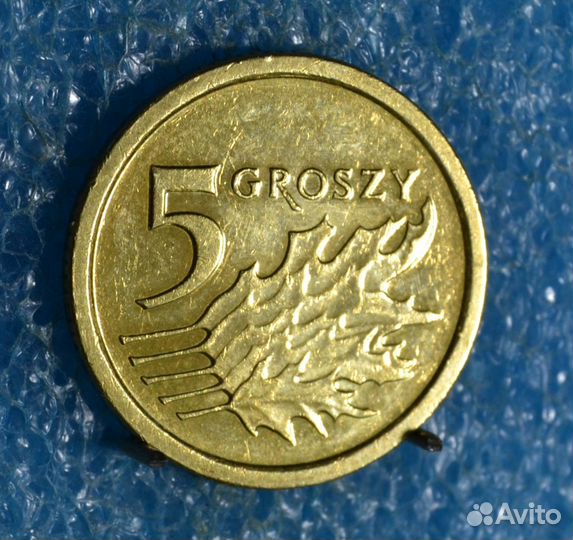 Монеты Польши