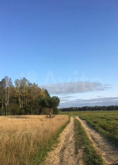 Участок 1,54 га (СНТ, ДНП)