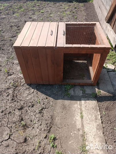 Брудер для выведения цыплят