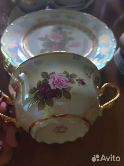 Фредерика роза Carlsbad