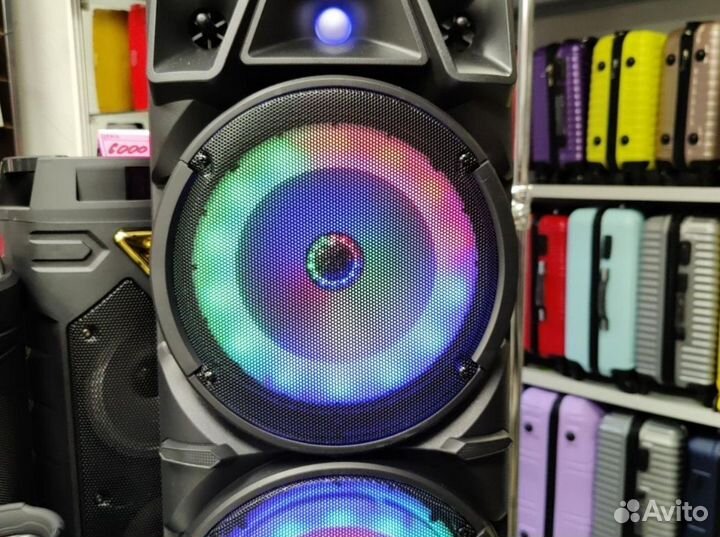 Большая портативная колонка с караоке
