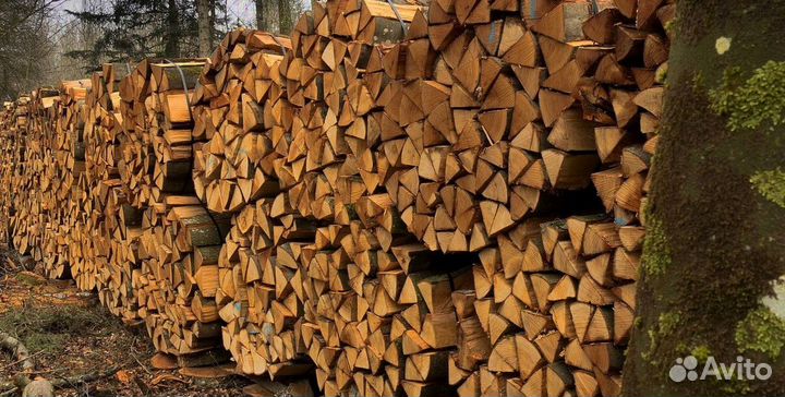 Дрова березовые наколотые