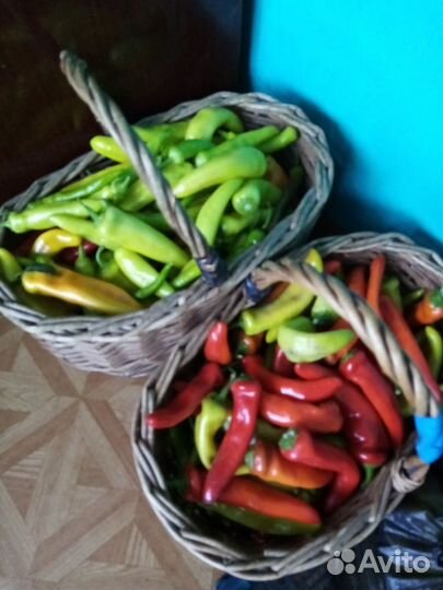 Перец острый