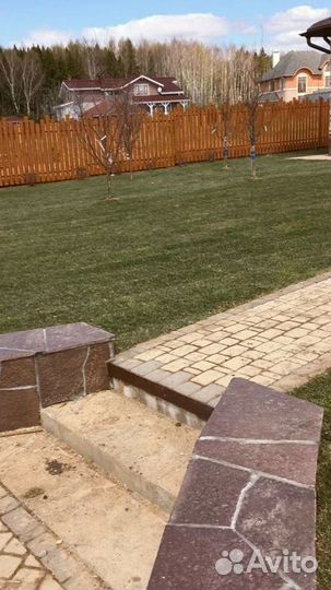 Рулонный газон