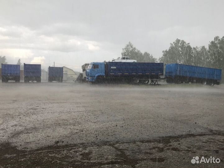 Перевозка сельхозпродукции зерновозы 4 единицы