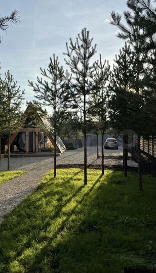 Дом 45 м² на участке 15 сот.