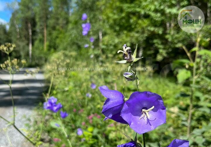 Участок 12 сот. (СНТ, ДНП)