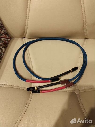 Межблочный кабель Arkana Currus Hermes