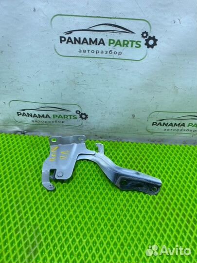 Петля капота передняя левая Renault Koleos 2.5