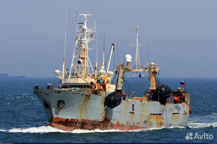 Матрос на судно