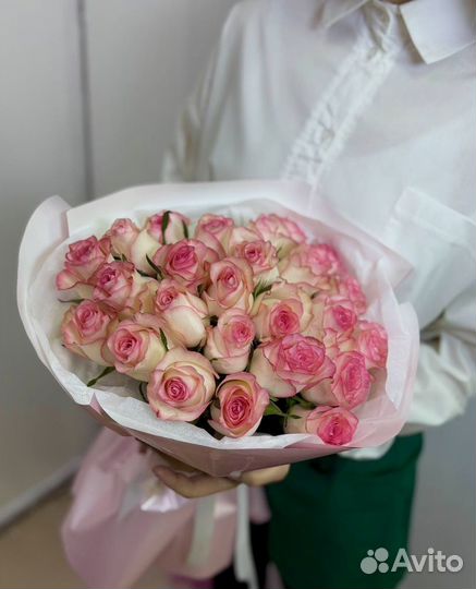 Роза 51 роза 25