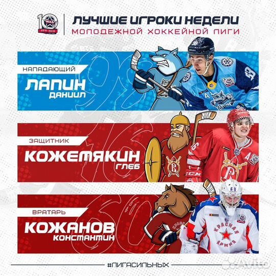 Тренер по хоккею(полевые/вртарский)