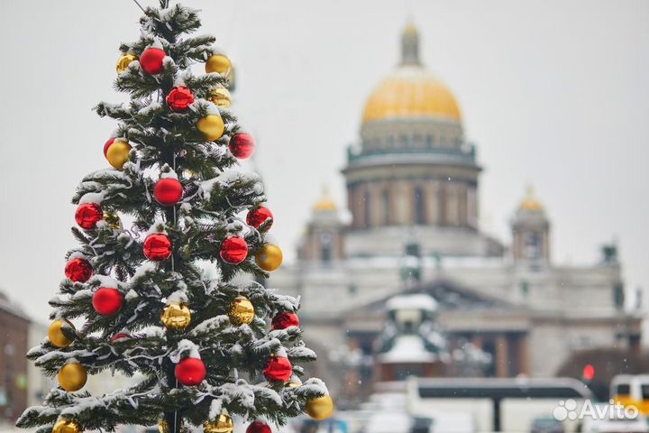 Новогодние жд - туры в Санкт-петербург