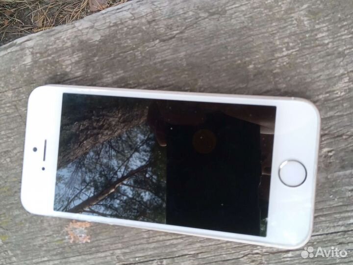 Дисплей iPhone 5s