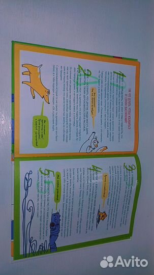 Как стать популярным