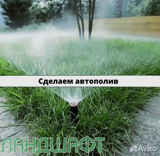 Де люкс рулонный газон от 50м2 мо