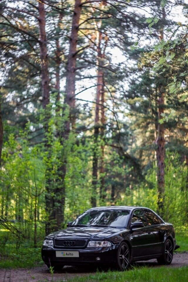 Audi A4: фото владельца