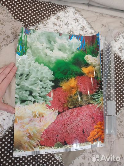 Фон для аквариума 30*39