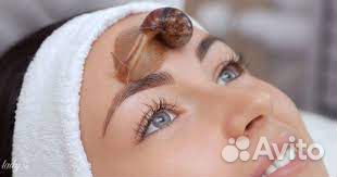 Улитки Ахатина