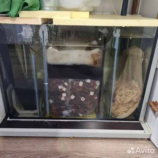 Аквариум 160л оптивайт сампом