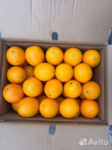 Апельсины свежие Navel (Египет) объявление продам